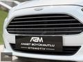 ABM'DEN 2013 FORD FIESTA