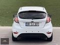 ABM'DEN 2013 FORD FIESTA