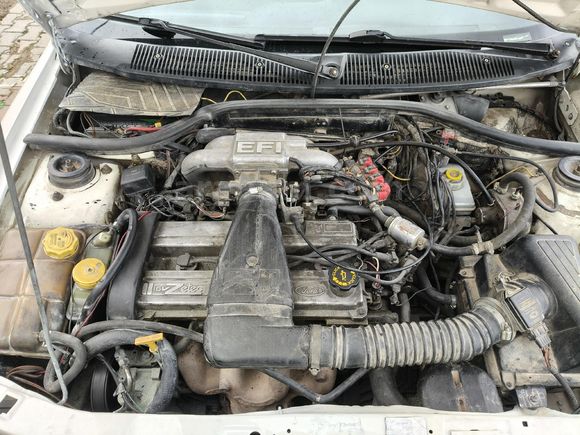 Sahibinden Ford Escort 1.6 CLX 1996 Model