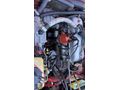 MOTOR ŞANZIMAN 10 NUMARA KREDİ KARTIDA GEÇERİM