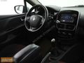 MİCRON OTOMOTİV'DEN 2013 CLİO