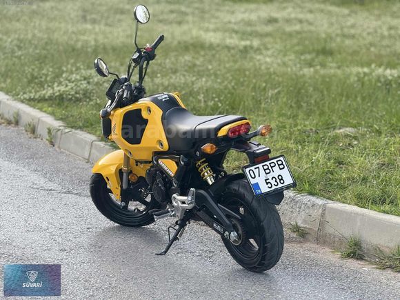 2022 MODEL HONDA MSX 125