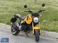 2022 MODEL HONDA MSX 125