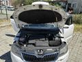 Sahibinden Skoda Rapid 1.4 TDI GreenTec Style 2015 Model 