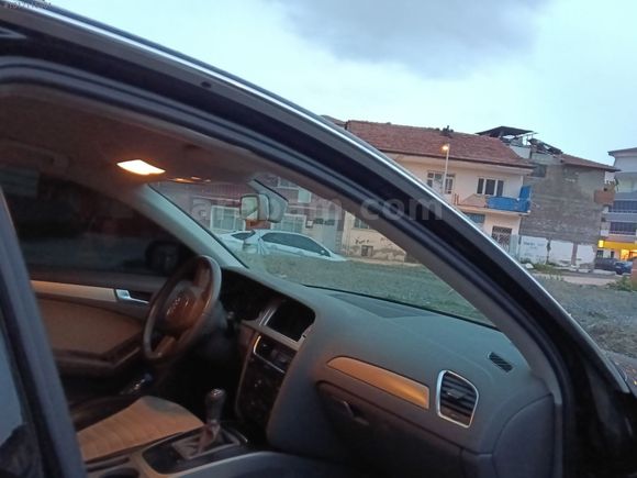 Orjinal Audi
