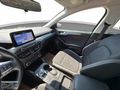2023 FORD FOCUS TREND X 1.5ECOBLUE