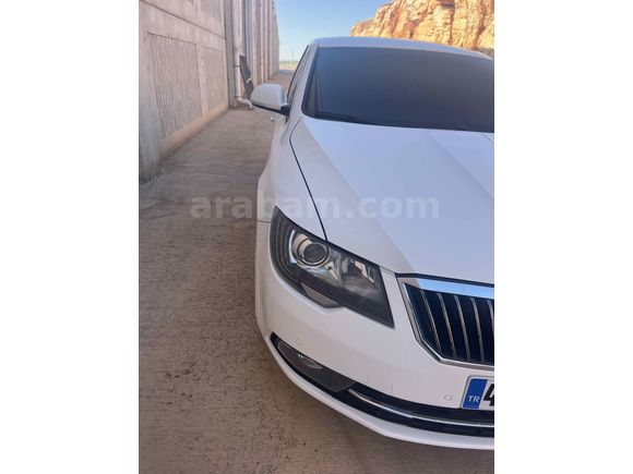 Sahibinden Skoda SuperB 1.6 TDI Elegance 2014 Model  216000