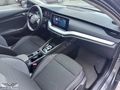 EKSTRA EKSTRALI-2025 ÇIKIŞLI SKODA OCTAVİA 1.5 PREMİUM-HATASIZ