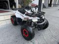 FATİH MOTOR & ATV'DEN SKYJET M135 DÜŞÜK KM TAKAS VE KARGO