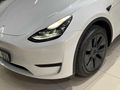 DOĞA GARAGE,DAN TESLA MODEL Y RWD LEGACY
