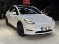 DOĞA GARAGE,DAN TESLA MODEL Y RWD LEGACY