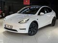 DOĞA GARAGE,DAN TESLA MODEL Y RWD LEGACY