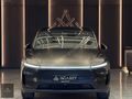AĞABEY'DEN 2025 TESLA MODEL Y PREMİUM (JUNİPER)-OTOPLT-PPF-HTSZ