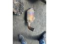 CİTROEN NEMO 1.4 katalizör