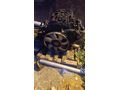 FORD TRANSİT KOMPLE DOLU V347 MOTOR