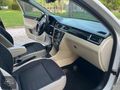 Auto Yankı'dan Hatasız Rapid