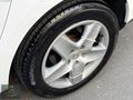 46 CAR'S TAN EMSALSİZZ