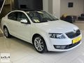 KIA ERSU YURT 2015 SKODA OCTAVIA 1.6 TDI STYLE DSG CAM TAVAN