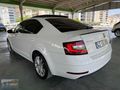 ALİ AUTODAN OCTAVİA EN DOLUSU