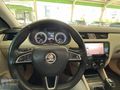 ALİ AUTODAN OCTAVİA EN DOLUSU