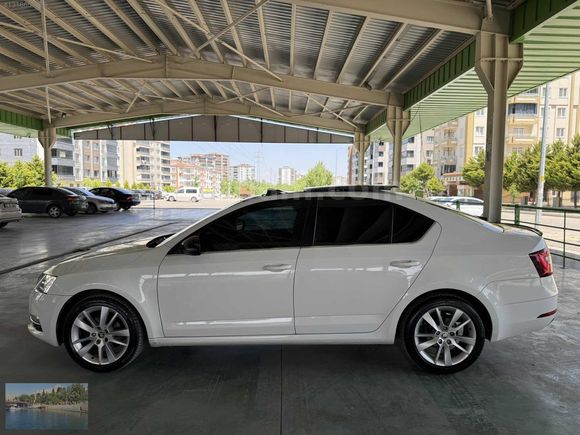 ALİ AUTODAN OCTAVİA EN DOLUSU