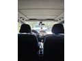 Sahibinden Honda Jazz 1.4 Fun 2009 Model