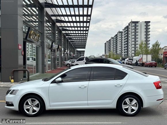 2019 SKODA OCTAVİA 1.6 TDI OPTİMAL DSG