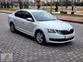 AKADEMİ AUTO DAN OTOMATİK 2019 cıkışlı OCTAVİA OPTİMAL PAKET
