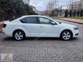 AKADEMİ AUTO DAN OTOMATİK 2019 cıkışlı OCTAVİA OPTİMAL PAKET