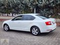 AKADEMİ AUTO DAN OTOMATİK 2019 cıkışlı OCTAVİA OPTİMAL PAKET