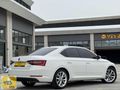 YES AUTO'DAN BAKIMLI 2016 SUPERB PRESTİGE