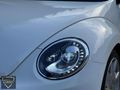BETTLE OTOMATİK EXTRALI