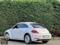 BETTLE OTOMATİK EXTRALI