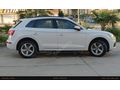 Tek el kullanılmış Audi Q5