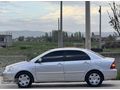 PEHLİVAN'DAN HATASIZ CAM GİBİ TOYATA CORALLA