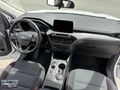 EMİR OTOMOTİV'DEN 2020 1.5 EcoBlue STYLE ORJİNAL HATASIZ BOYASIZ