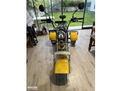 OTOMONLİNE CİTYCOCO TRIKE CP3 256 Km