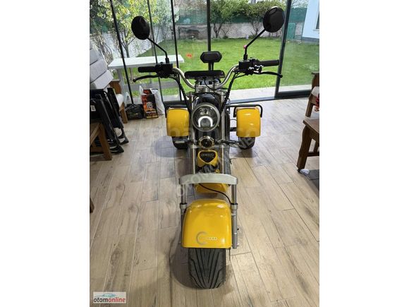 OTOMONLİNE CİTYCOCO TRIKE CP3 256 Km