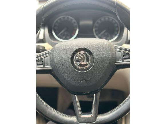 Sahibinden Skoda Rapid 1.4 TDI GreenTec Style 2017 Model