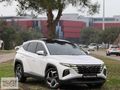 2021 Hyundai Tuscon 1.6 CRDİ Elite ISITMA + CAM TAVAN 1'Boya