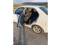Sahibinden Hyundai Accent 1.6 Admire 2004 Model