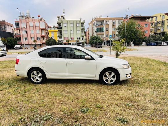 OTOMATİK OCTAVİA