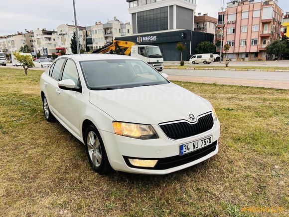OTOMATİK OCTAVİA