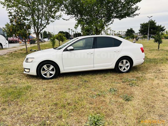 OTOMATİK OCTAVİA