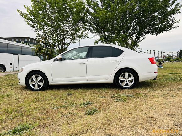 OTOMATİK OCTAVİA