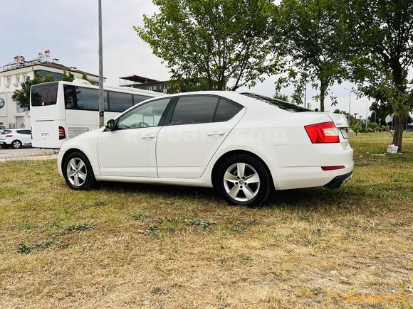 OTOMATİK OCTAVİA