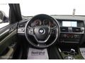 2013 BMW X3 20d xDrive Exclusive Cam Tavan