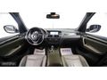 2013 BMW X3 20d xDrive Exclusive Cam Tavan