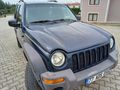Sahibinden Jeep Liberty 3.7 2002 Model  250.000 km Mavi