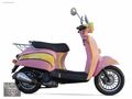 YETKİLİ BAYİİ'DEN FALCON TURTLE 50 CC 2026 MODEL 12 AY TAKSİT